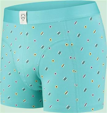 Boxer - THOMAS