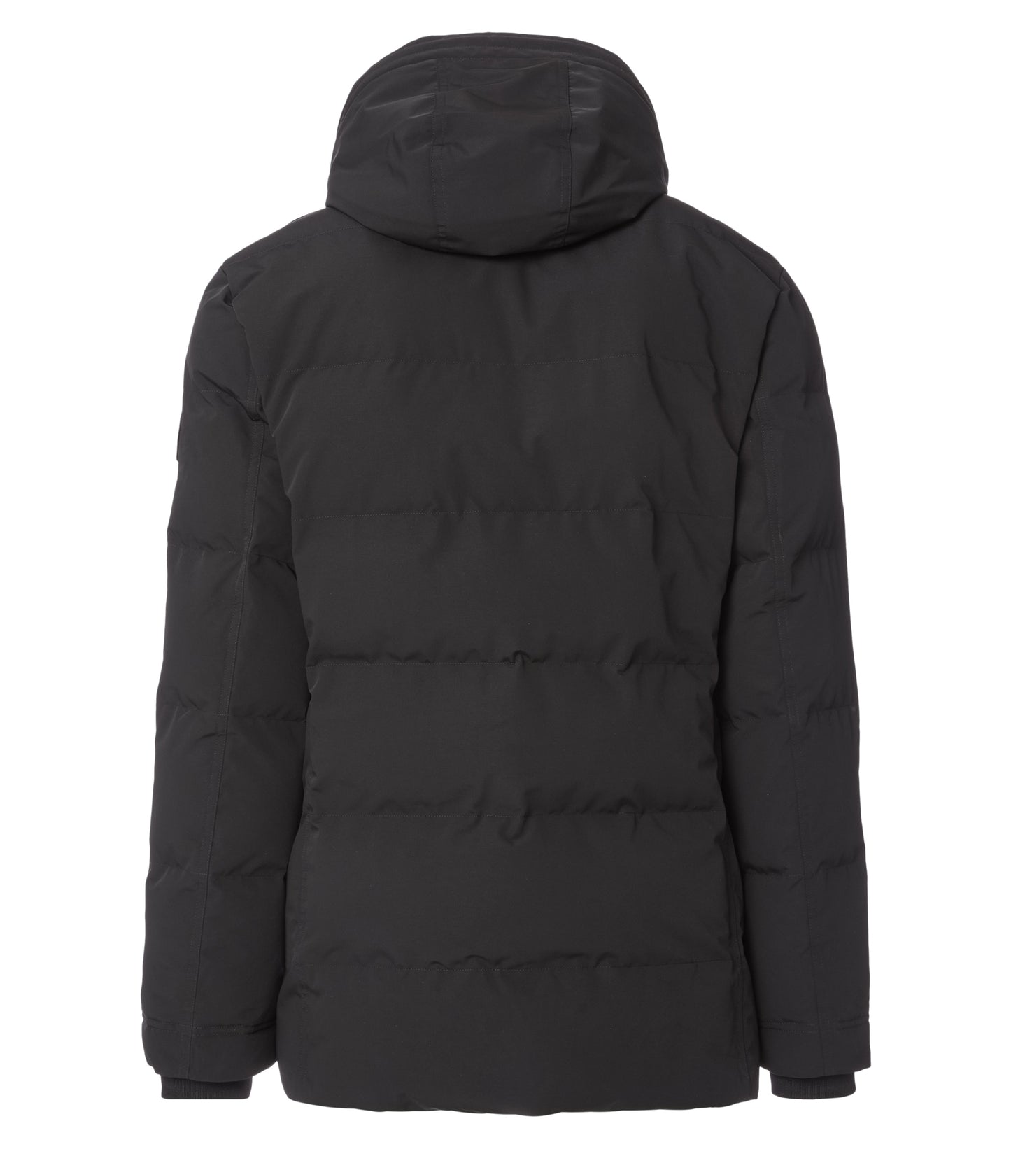 Parka mit Kapuze - 544297600
