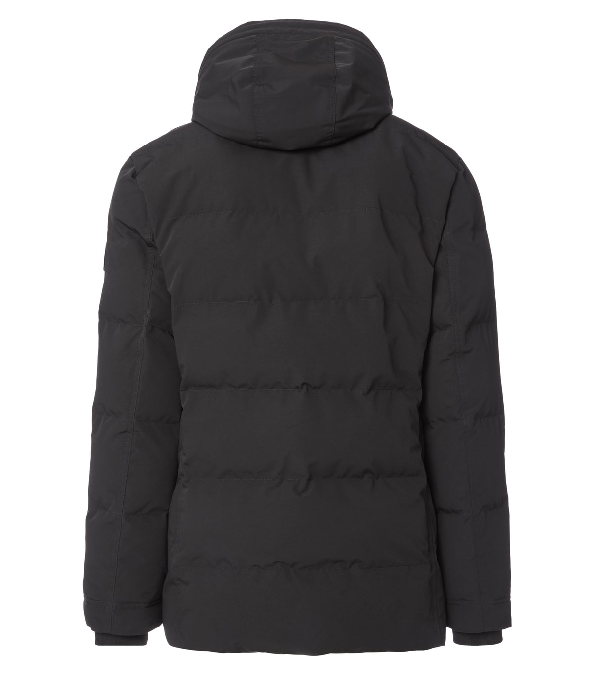Parka mit Kapuze - 544297600