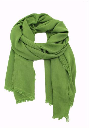Schal - 900122532