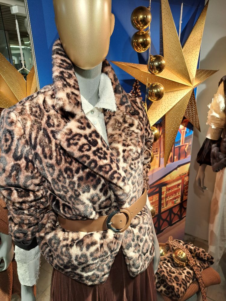 425953120 26.11.2025  Schaufenste 5