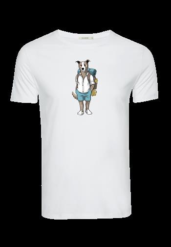Animal Dog Traveller - 27_7308