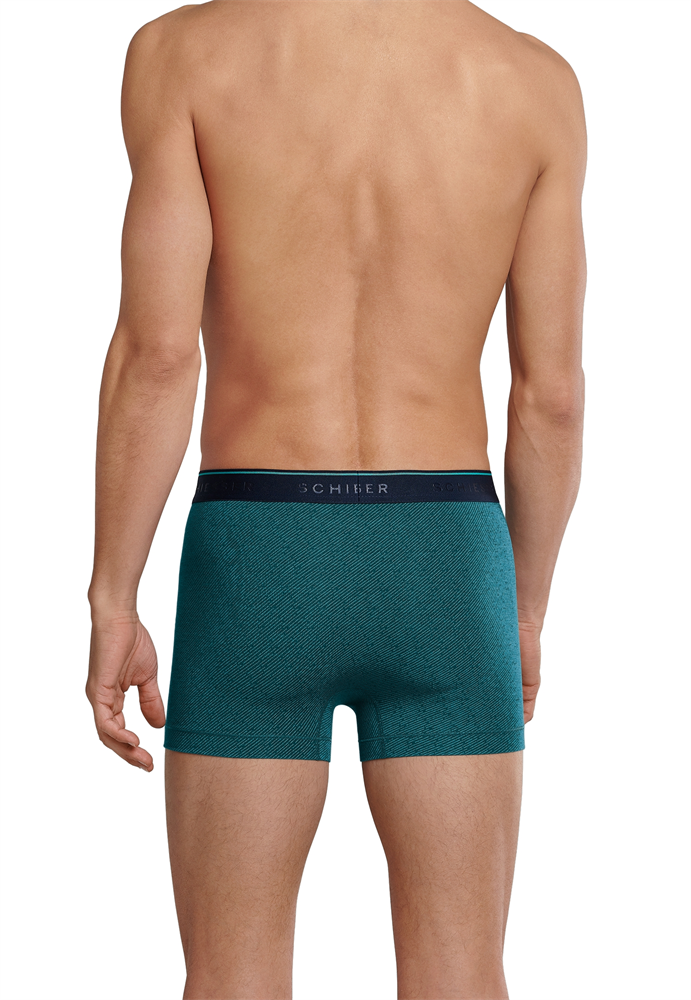 Shorts - 173690