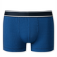 Shorts - 175577