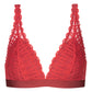 Triangle-BH - 1150022