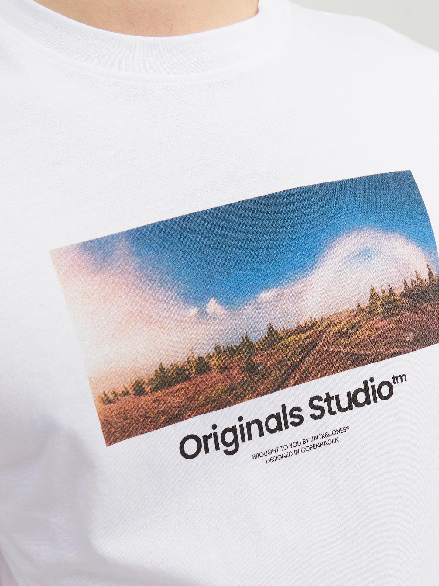 JORVESTERBRO PHOTO SS TEE CREW NECK - 12240123