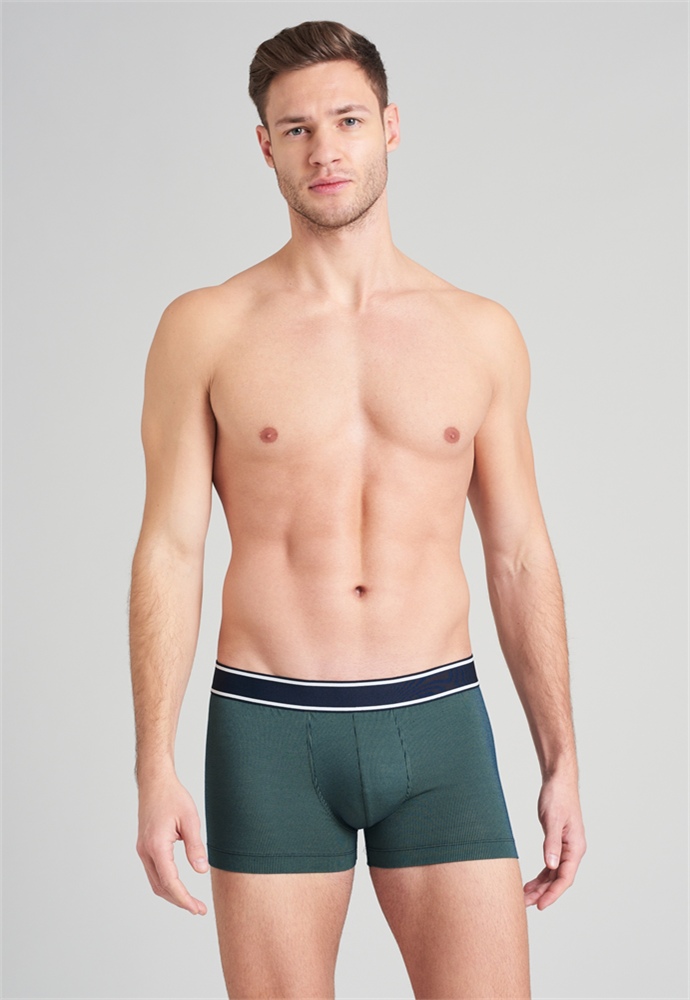 Shorts - 175577