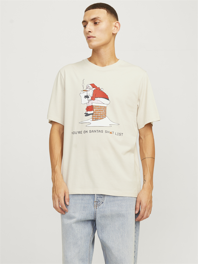 JJXMAS FUNNY TEE SS CREW NECK - 12265357