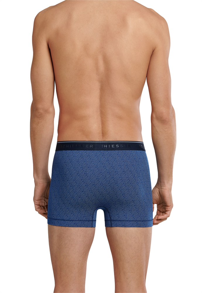 Shorts - 173690