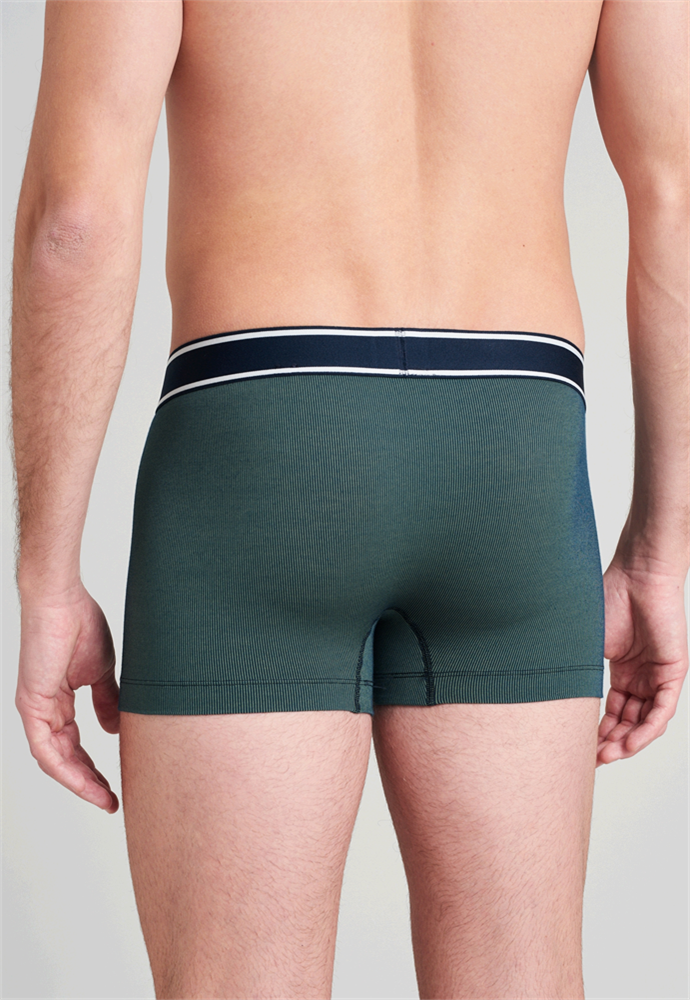 Shorts - 175577