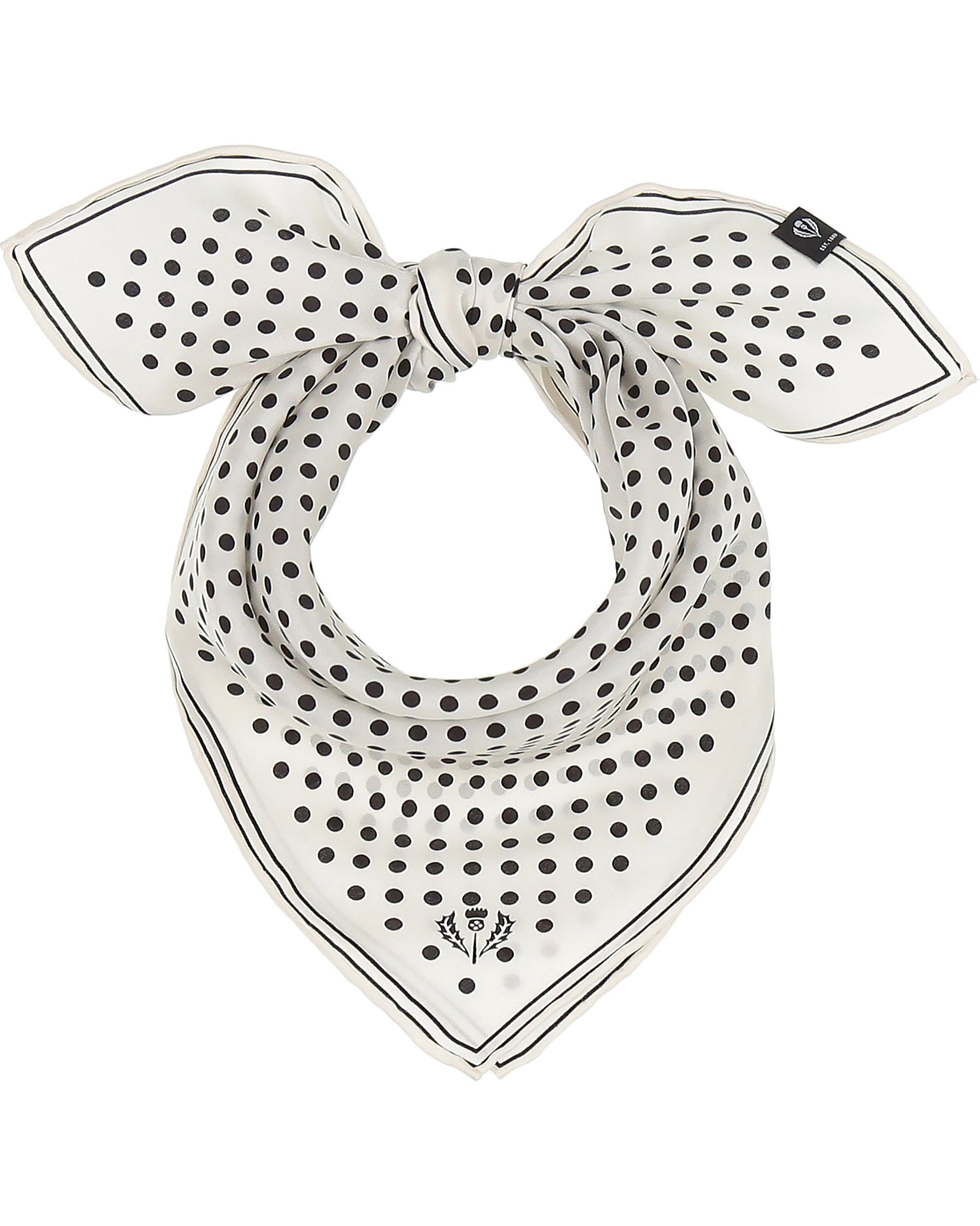 403024992 21.07.2025  Schaufenste 5