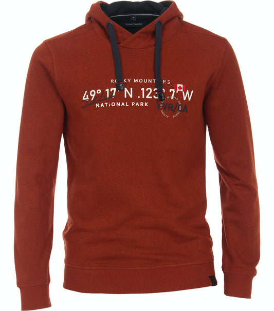 Sweatshirt,Hoody - 423915700