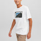 JCOLOGAN TEE SS CREW NECK AW23 - 12242492