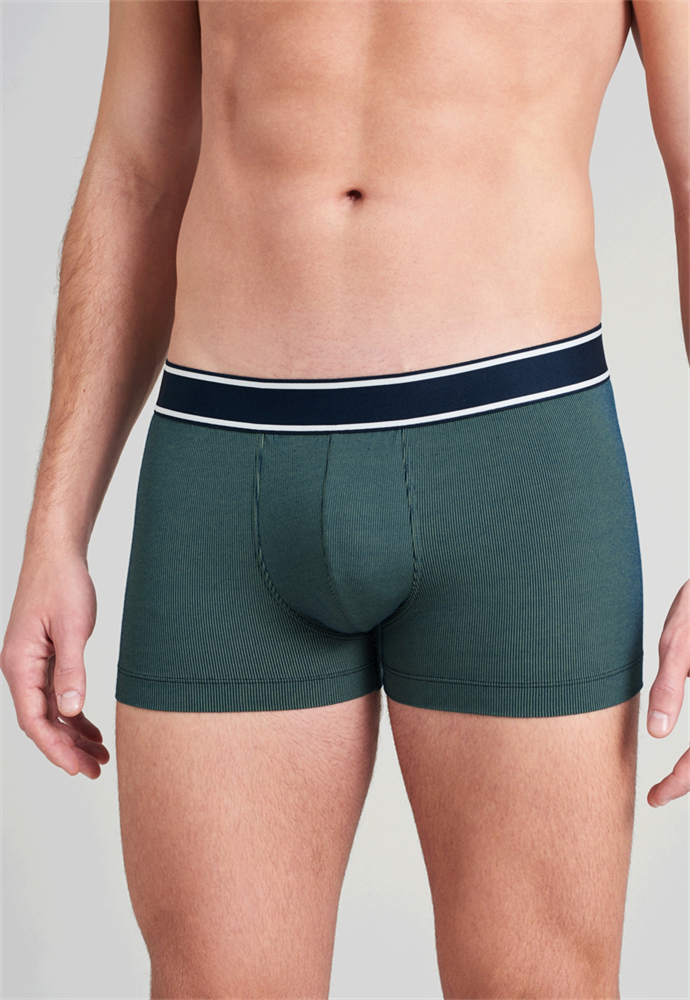 Shorts - 175577