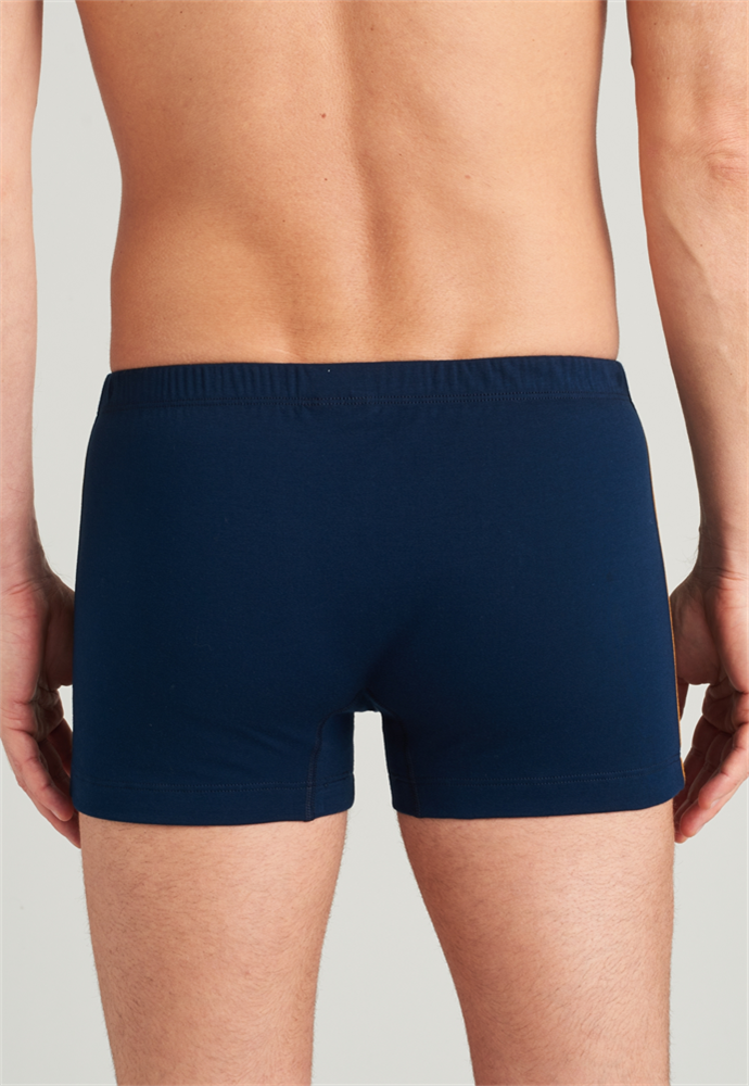 Shorts - 175635