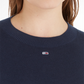 TJW ESSENTIAL CREW NECK SWEATER - DW0DW16534